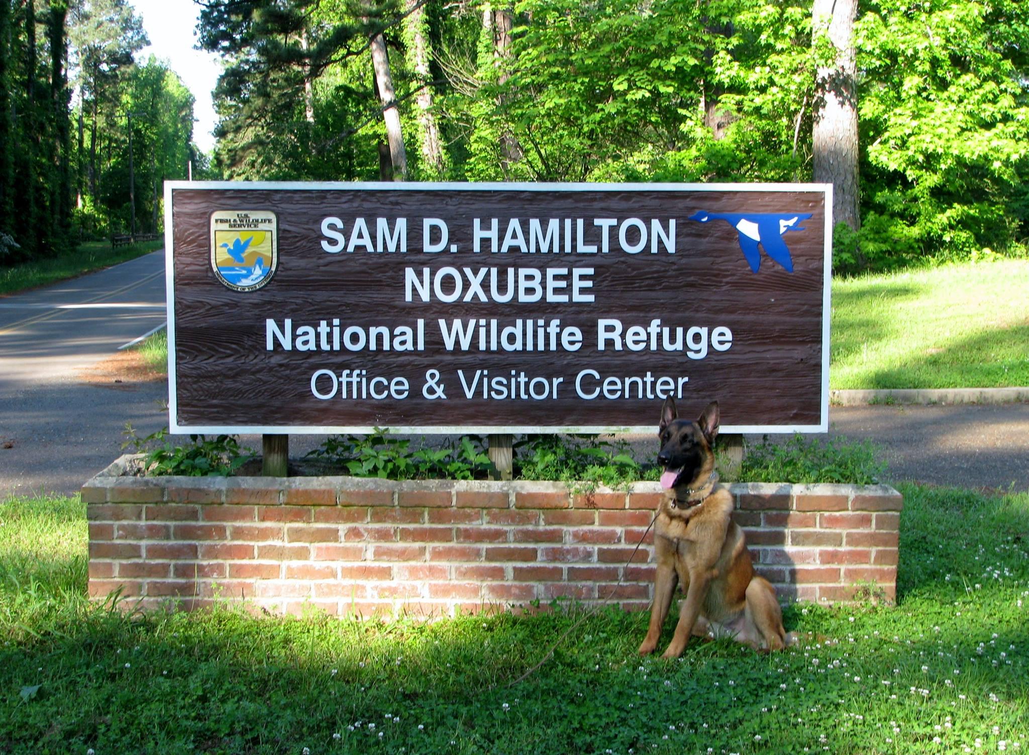 Pet Friendly Sam D. Hamilton Noxubee National Wildlife Refuge