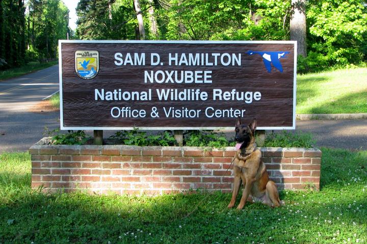 Pet Friendly Sam D. Hamilton Noxubee National Wildlife Refuge