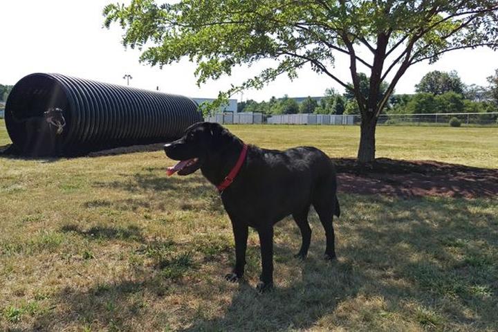 Pet Friendly Metuchen-Edison Community Dog Park