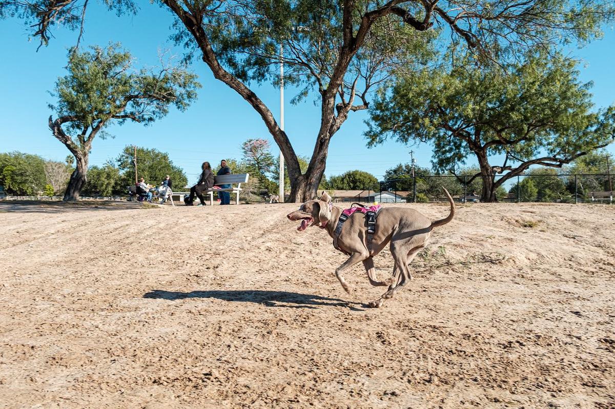 McAllen Dog Park