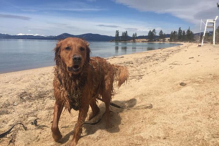 Pet Friendly Sand Harbor State Park at Lake Tahoe Nevada State Park