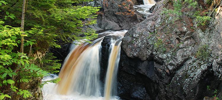 are dogs allowed at cascade falls