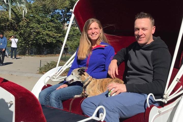 Pet Friendly NYC Horse Carriage Rides