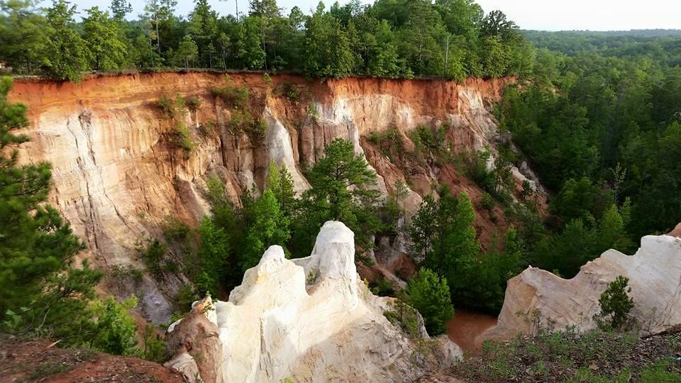 are dogs allowed at providence canyon