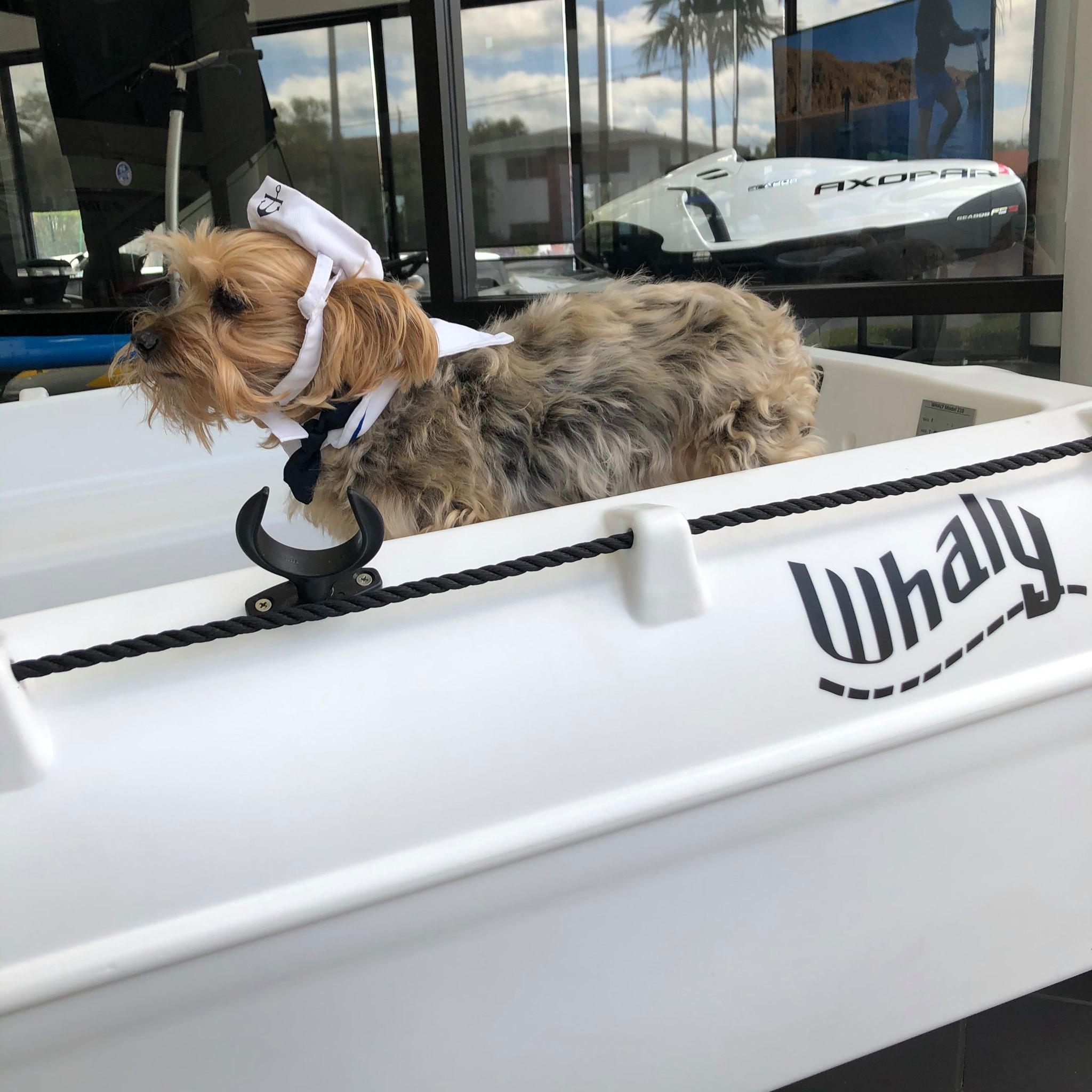 Pet Friendly Nautical Ventures