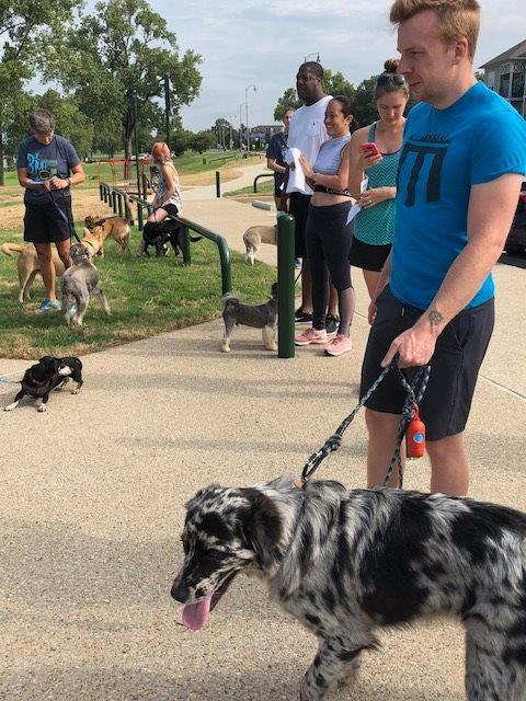 Pet Friendly Mud Island Dog Park