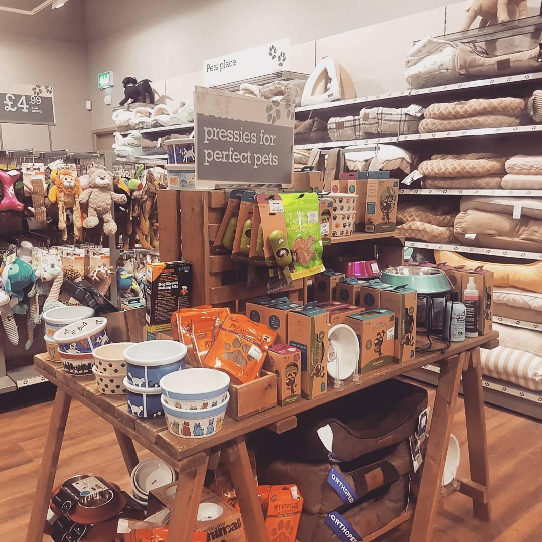 Homesense store dog beds