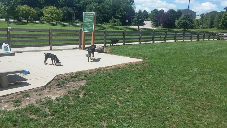 Pet Friendly Dog Park at Three Creeks Metro Park