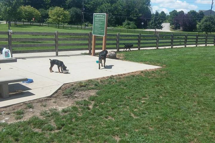 Pet Friendly Dog Park at Three Creeks Metro Park