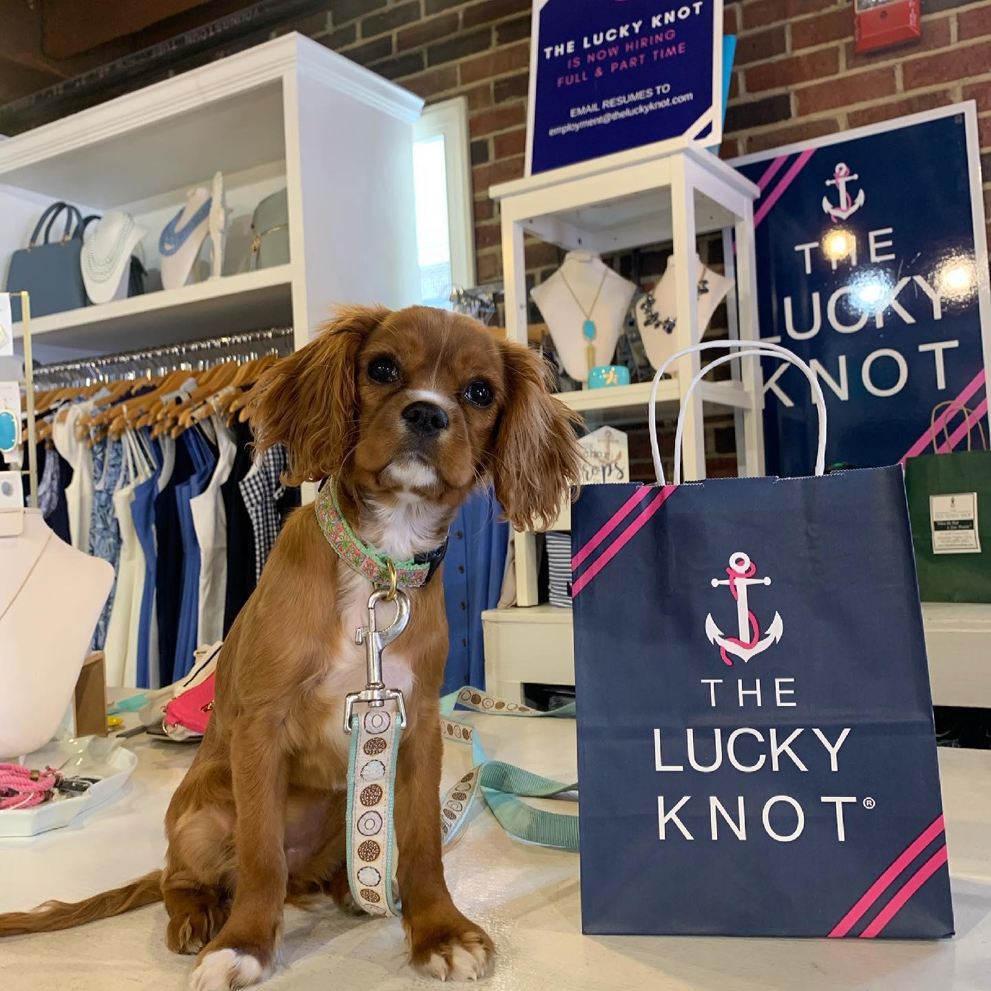 Pet Friendly The Lucky Knot