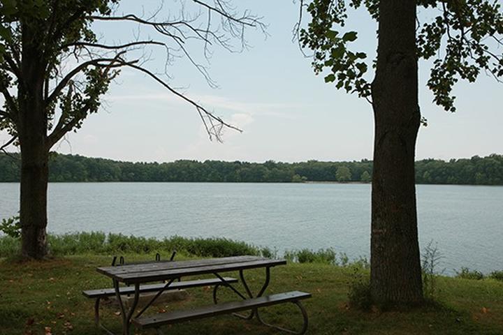 Pet Friendly Stephen A. Forbes State Recreation Area