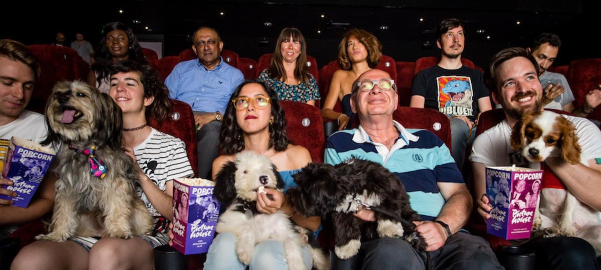 Dog friendly picturehouse online