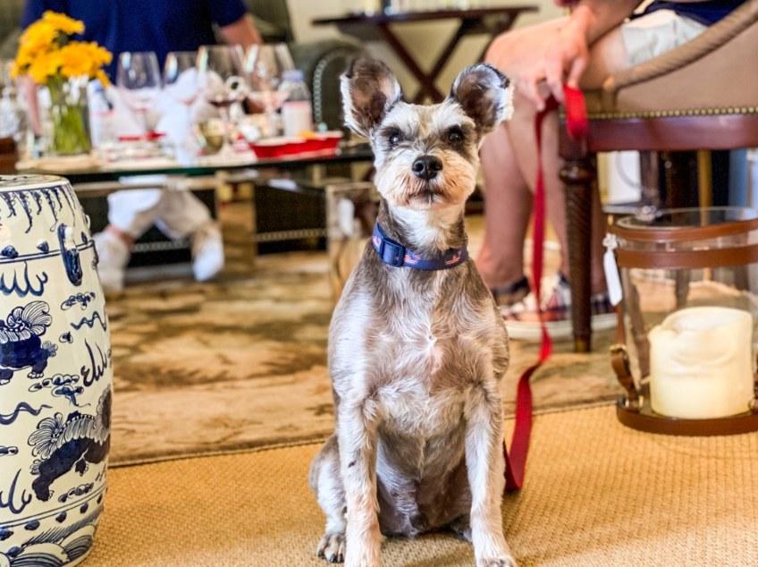 Pet Friendly Silver Trident Winery