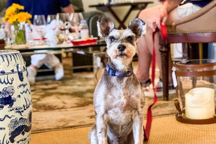 Pet Friendly Silver Trident Winery