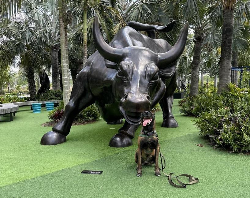 Dog Friendly Activities in Orlando: Fun Adventures Await!