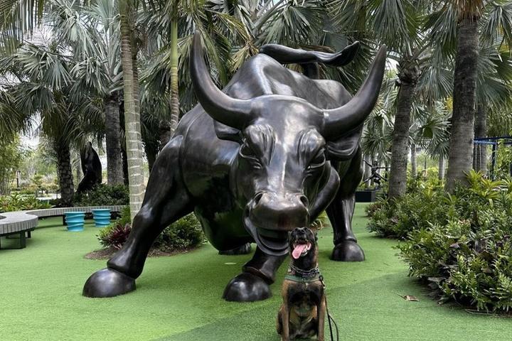 Dog Friendly Activities in Orlando: Fun Adventures Await!