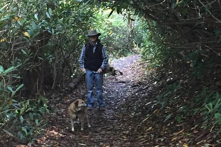 Dog Friendly Hiking Trails In Boone Nc Bringfido Dog Friendly Hiking Trails In Boone Nc Bringfido