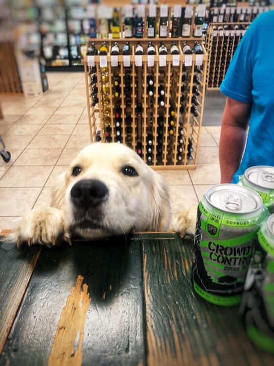 Liquor Express and Craft Beer