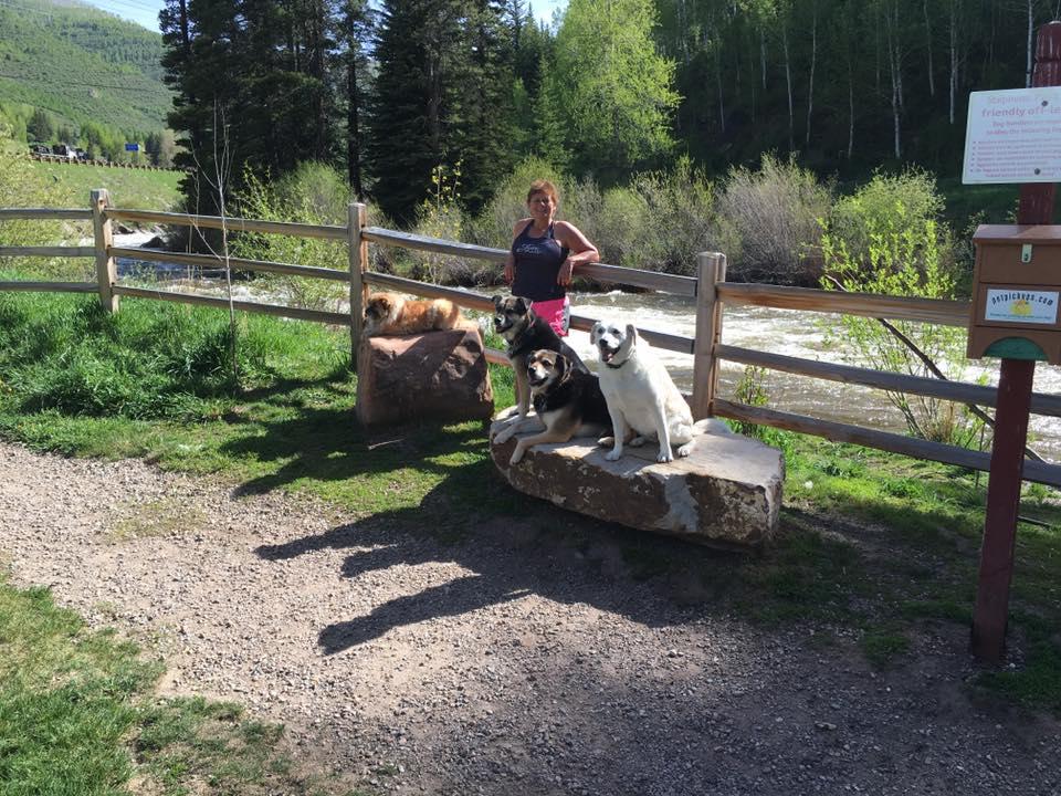 Stephens Park (West Vail Dog Park)