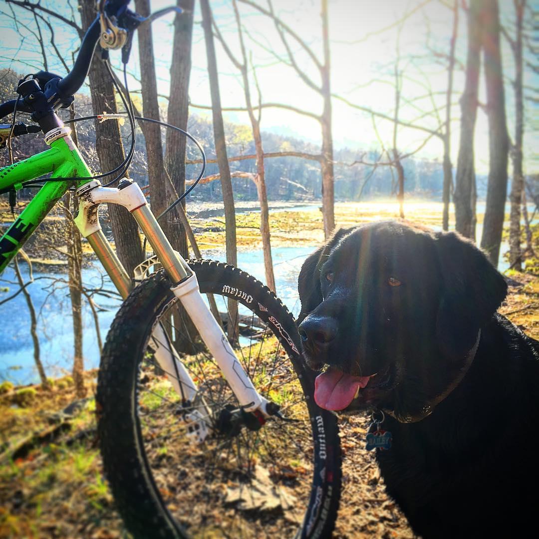 Dog friendly bike trails near me new arrivals