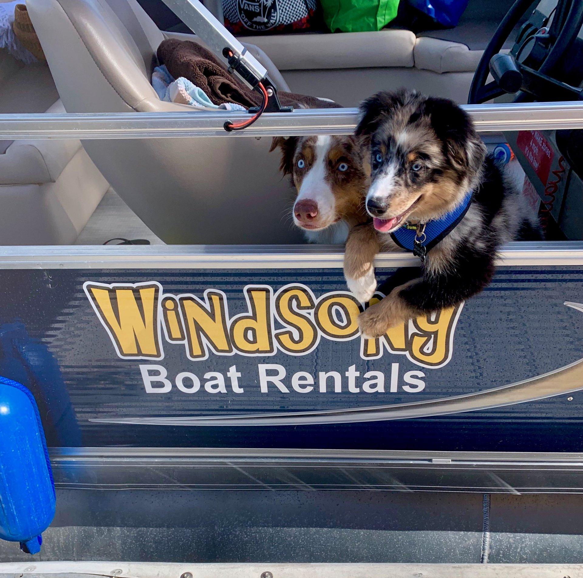Pet Friendly Windsong Charters & Boat Rentals