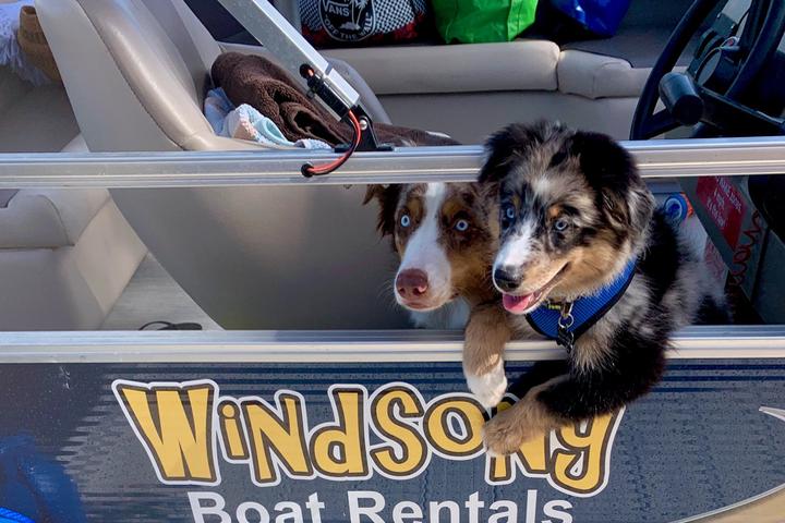 Pet Friendly Windsong Charters & Boat Rentals