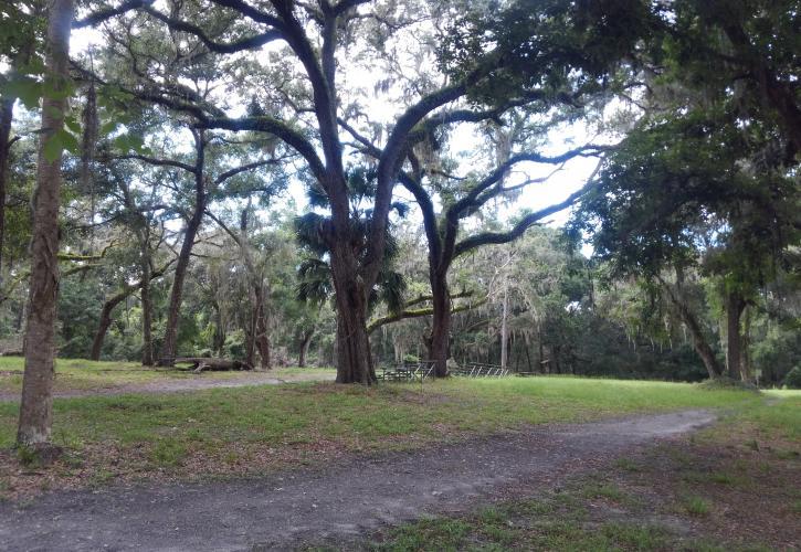 Pet Friendly Fort Cooper State Park