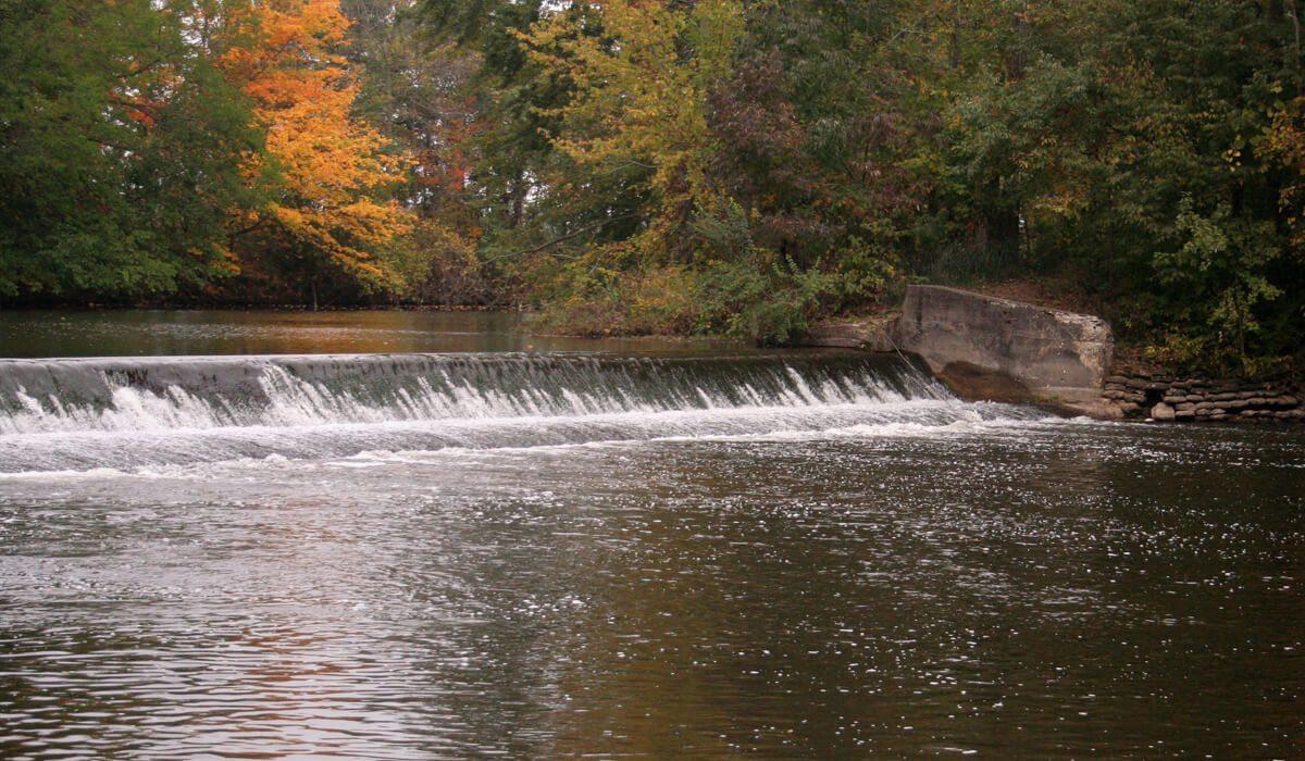 Pet Friendly River Preserve County Park