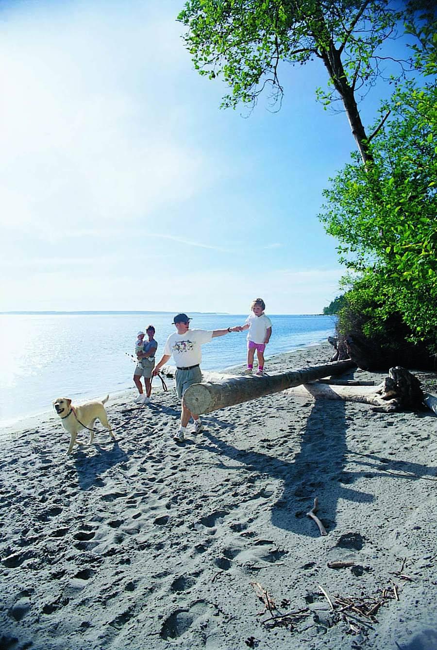 Pet Friendly South Whidbey Island State Park
