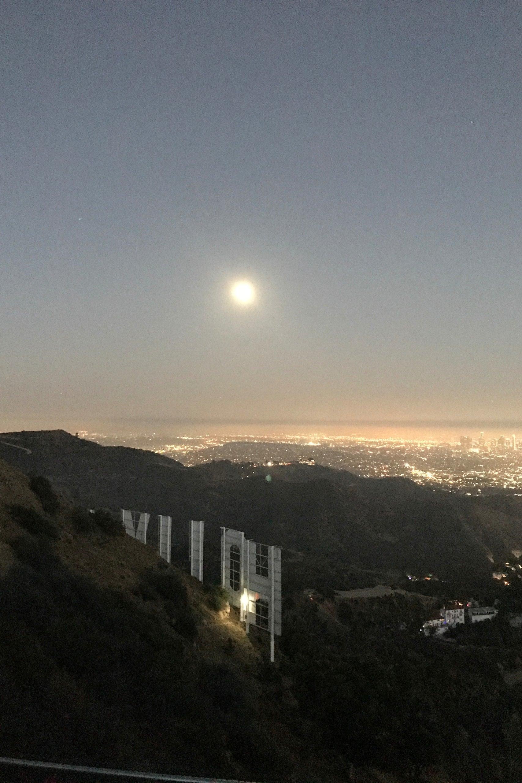Pet Friendly Hollywood Sign Edit Sun or Sunset