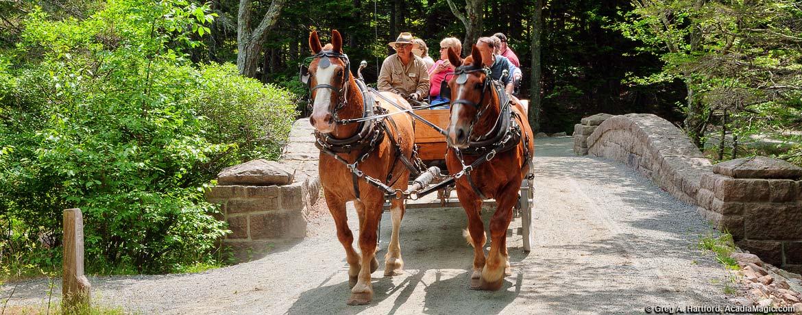 Carriage tours acadia clearance