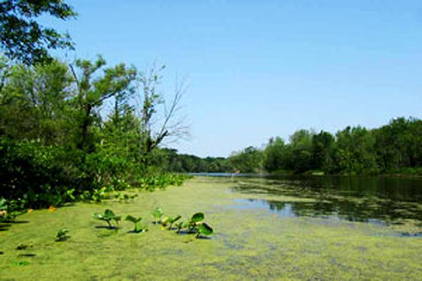 Dog Friendly Hiking Trails Coopersville BringFido