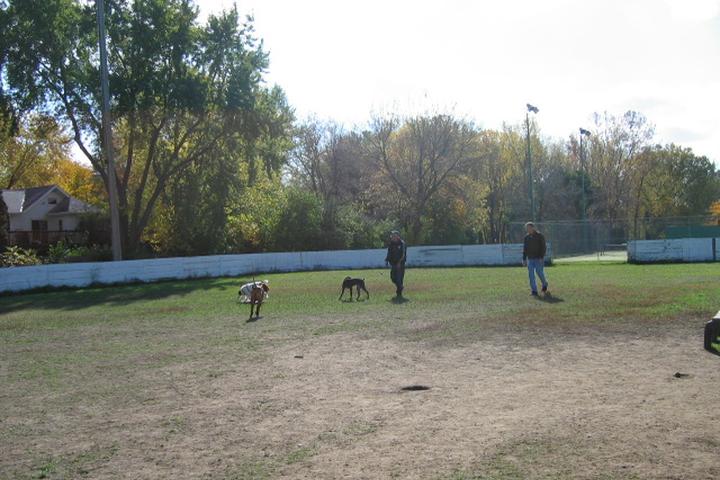 Pet Friendly Bassett Creek Dog Park
