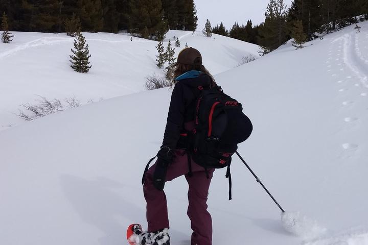 Pet Friendly Mountain Snowshoeing & Forest Bathing
