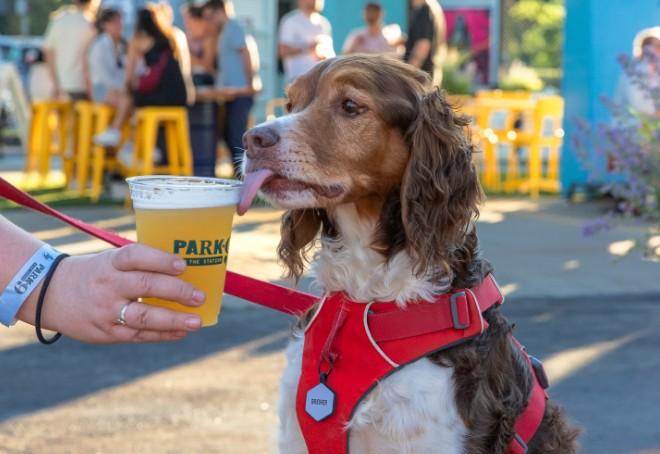 Park-9 Anniversary Carnival Party