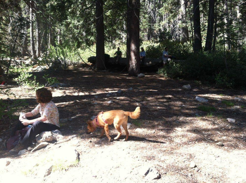 Big bear outlet dog friendly hikes