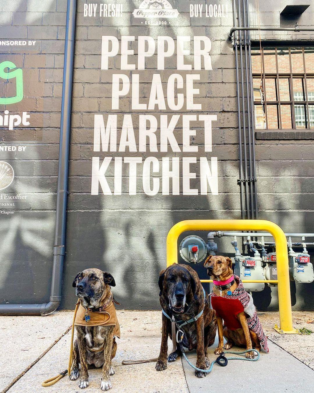 Pet Friendly The Market at Pepper Place