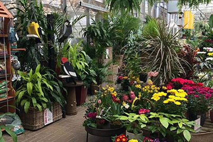 Pet Friendly Sheridan Nurseries Garden Centre