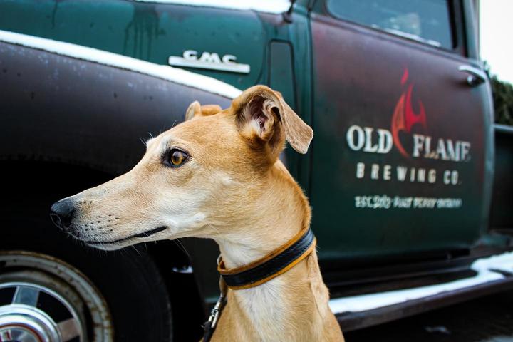 Pet Friendly Old Flame Brewing Co. - Newmarket
