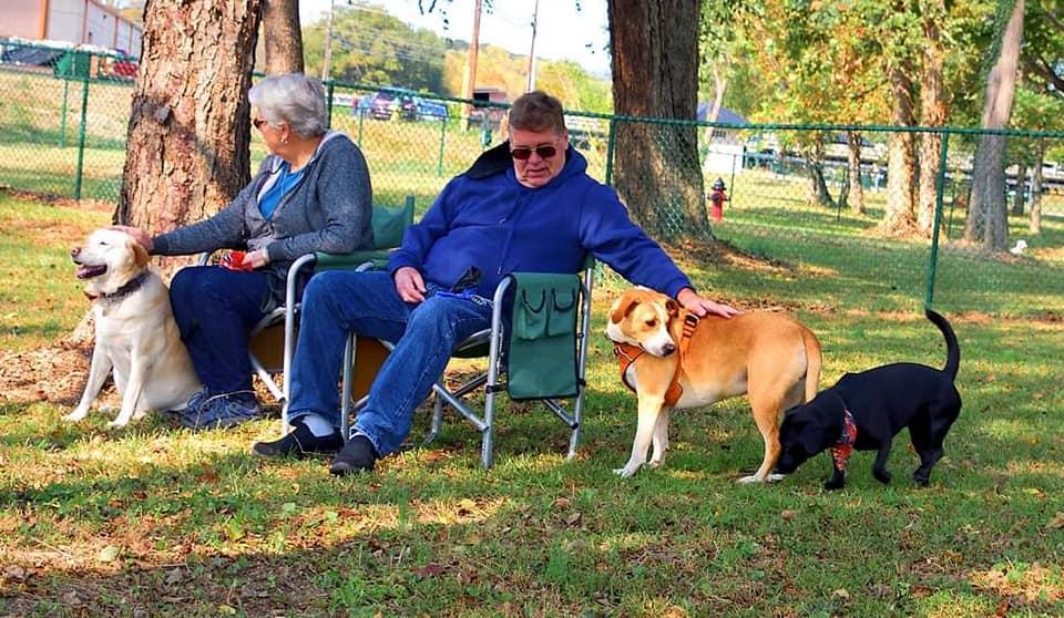 Pet Friendly Rotary Pup Dog Park