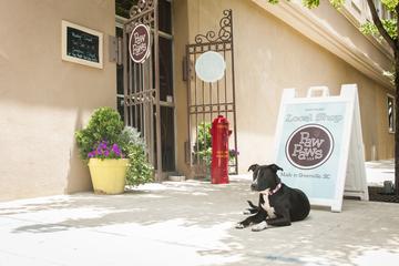 Dog Friendly Shopping In Greenville Sc Bringfido