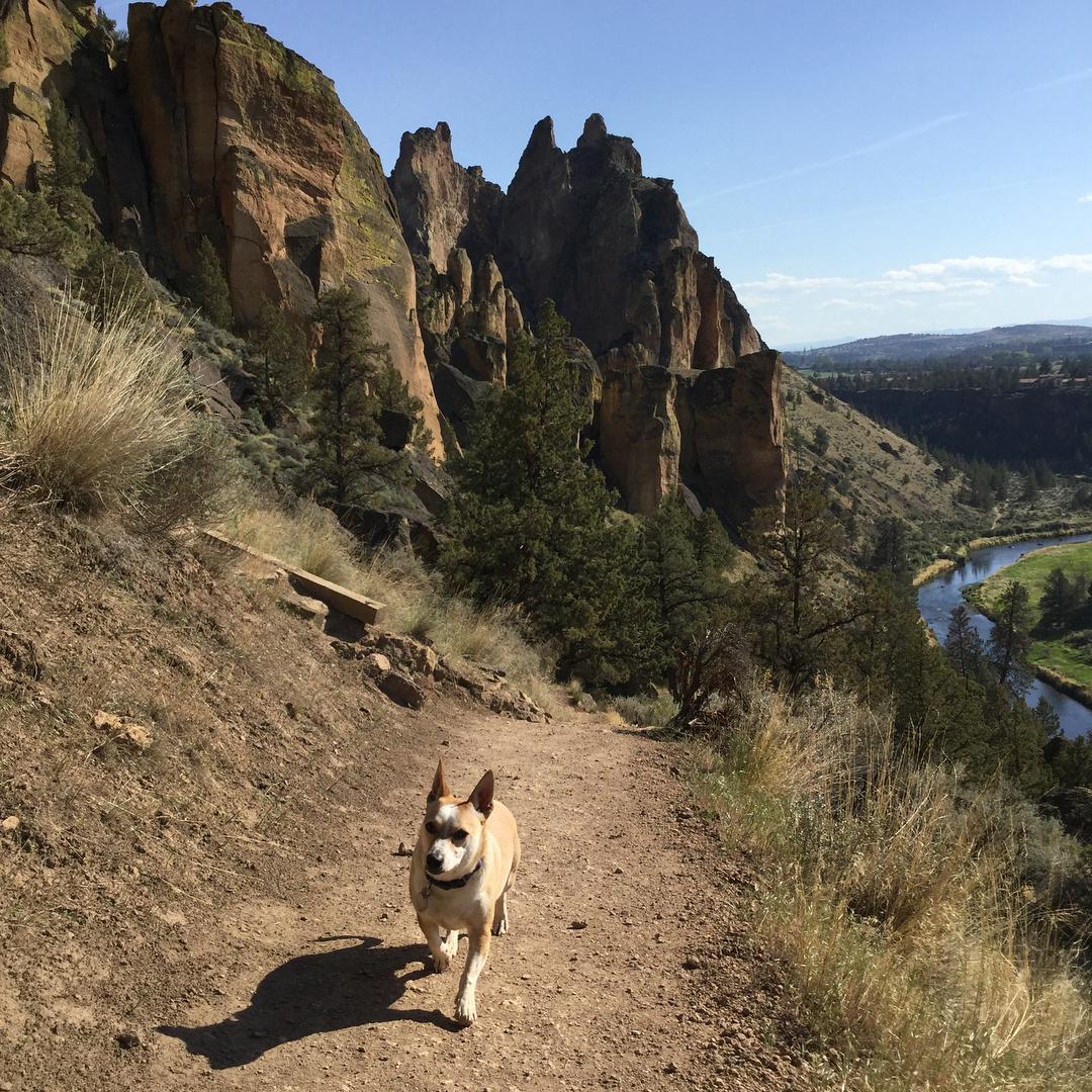 are dogs allowed at smith rock state park