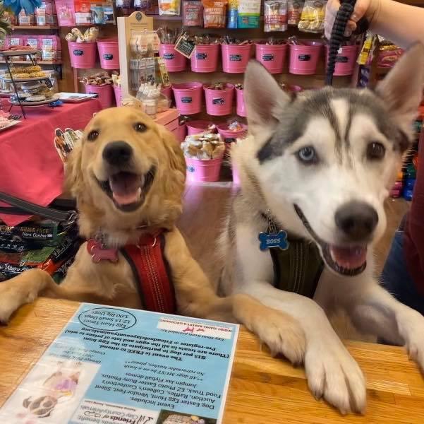 Directory of Pet Stores in Middleburg FL BringFido