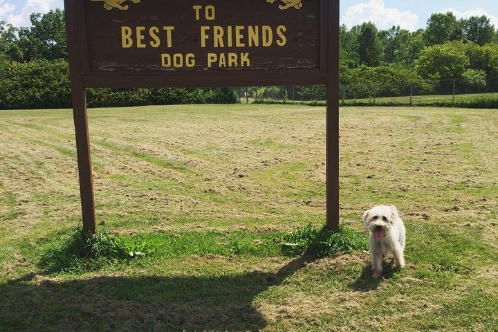Pet Friendly Winnabago County Dog Park