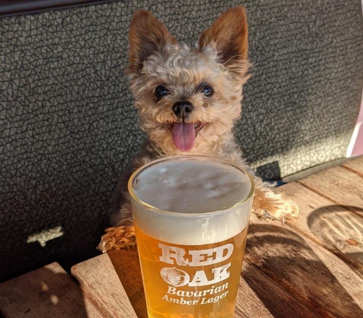 Pet Friendly Red Oak Lager Haus & Biergarten