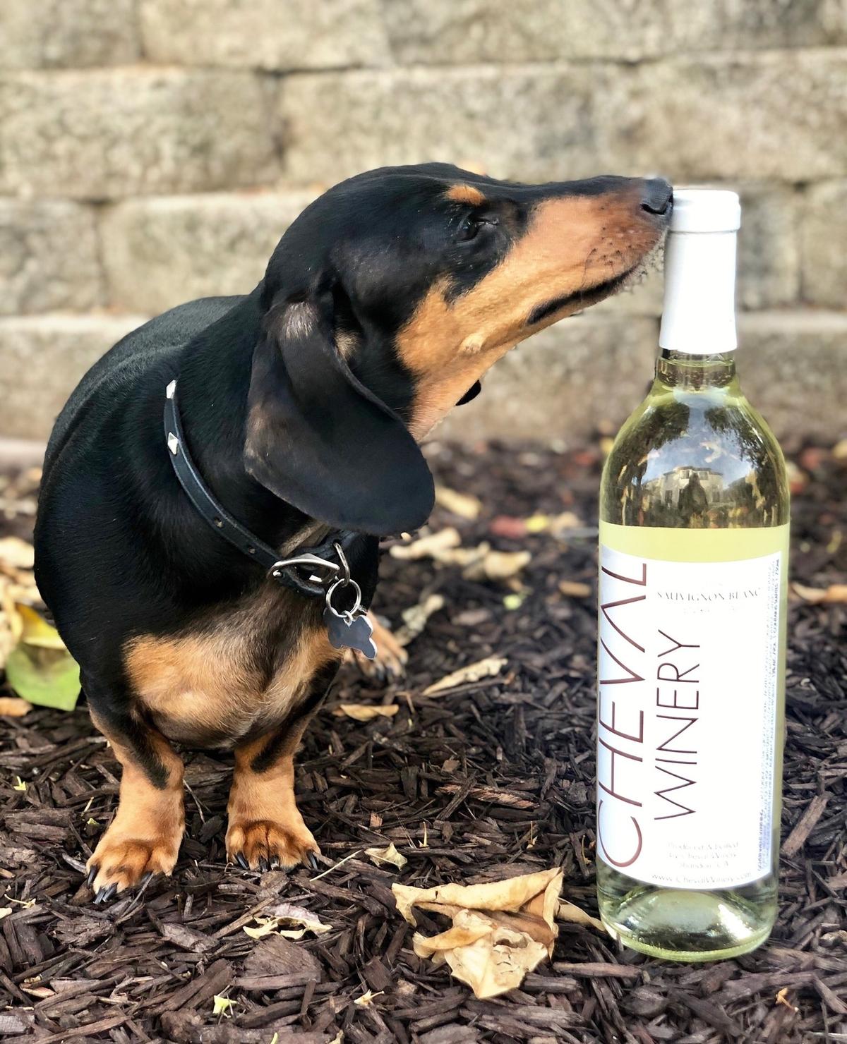 Cheval winery discount
