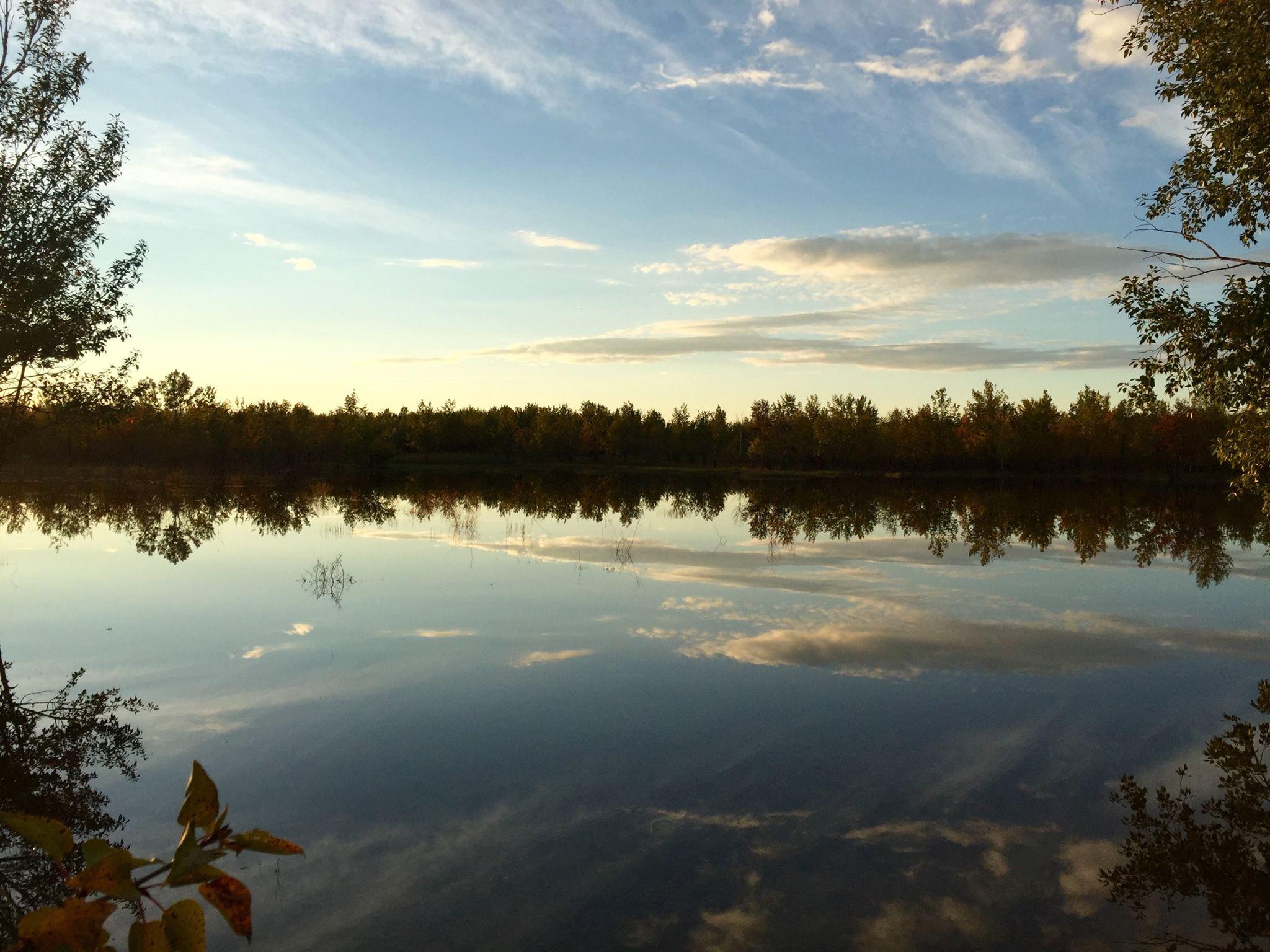 Nose Hill Park in Northwest Calgary - Tours and Activities