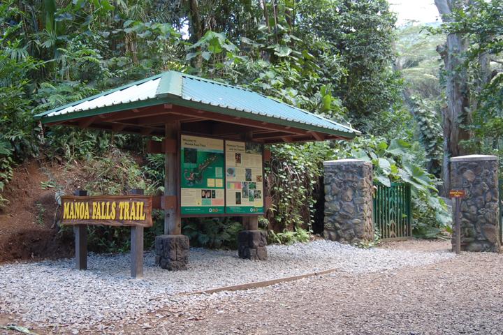 Pet Friendly Manoa Falls Trail