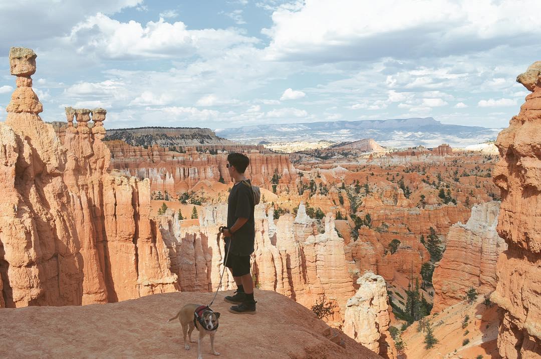 bryce canyon camping with dogs