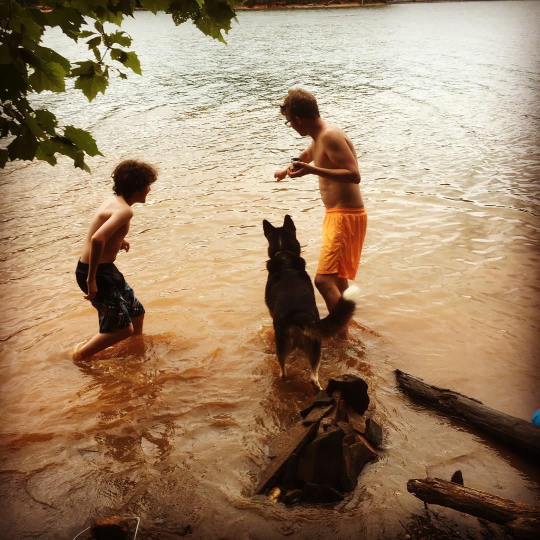 Tugaloo State Park 1763 Tugaloo State Park Rd Lavonia, Ga 30553